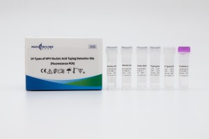 14 Types of HPV Nucleic Acid Typing Detection Kits (Fluorescence PCR)