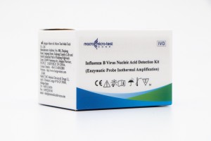 Influenza B Virus Nucleic Acid Detection Kit (Isothermal Amplification)