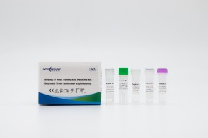 Influenza B Virus Nucleic Acid Detection Kit (Isothermal Amplification)