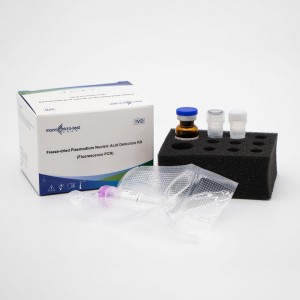 Malaria Nucleic Acid Detection Kit (Fluorescence PCR)