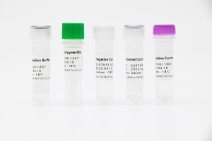 SARS-CoV-2 Nucleic Acid Detection Kit (Isothermal Amplification)