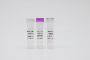 AdV Universal and Type 41 Nucleic Acid Detection Kit (Fluorescence PCR)