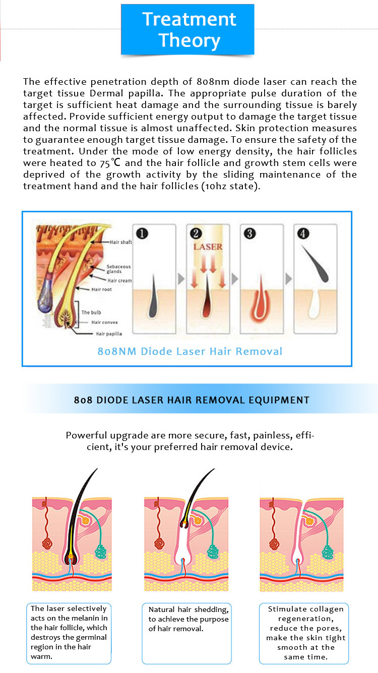 Laser Hair Removal Treatment Theory  The effective penetration depth of 808nm diode laser can reach the target tissue Dermal papilla. The appropriate pulse duration of the target is sufficient heat damage and the surrounding tissue is barely affected. Provide sufficient energy output to damage the target tissue and normal tissue is almost unaffected. Skin protection measures to guarantee enough target tissue damage. To ensure the safety of the treatment. Under the mode of low energy density, the hair follicles were heated to 75℃ and the hair follicle and growth stem cells were deprived of the growth activity by the sliding maintenance of the treatment hand and the hair follicles(10hz state). Powerful upgrade are more secure, fast, painless, efficient, it’s your preferred hair removal device. The laser selectively acts on the melanin in the hair follocle, which destroys the germinal region in the hair warm. Natural hair shedding, to achieve the purpose of hair removal. Stimulate collagen regeneration, reduce the pores, make the skin tight smooth at the same time.