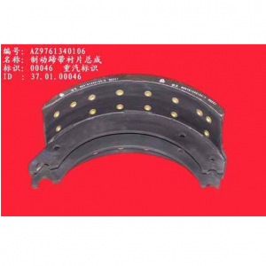 Brake shoe with lining assy