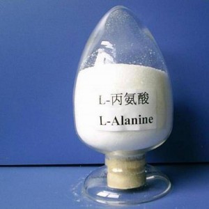 Personlized Products Phosphatidylserine Powder - L-Alanine  CAS NO 56-41-7 for Food Grade(FCCAJIUSP) – Honray