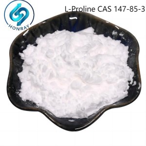 L-Proline CAS NO 147-85-3 for Food Grade (AJI/USP)