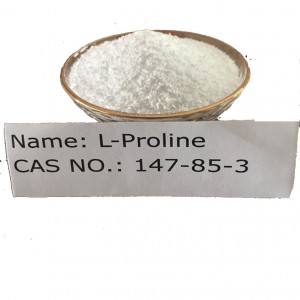 Wholesale L-Isoleucine - L-Proline CAS NO 147-85-3  for Pharma Grade(USPEP) – Honray