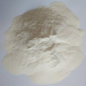 Hot Selling for China Factory Price Xanthan Gum Food Grade CAS 11138-66-2