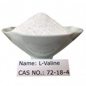 Good Wholesale Vendors China Food Additive: L-Valine/CAS No. 72-18-4