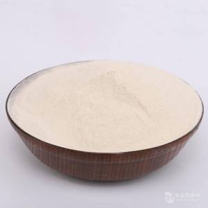 Good Quality China The Most Competitive Oil Drilling Xanthan Gum with Great Quality