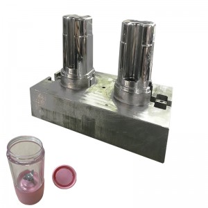 Plastic Injection Portable Blender Plastic Parts Mold: High Quality at Factory Price
