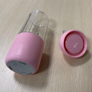 Plastic Injection Portable Blender Plastic Parts Mold: High Quality at Factory Price