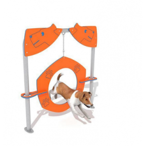 2022 customized Physical fitness outdoor wooden dog pet training equipment wooden slide