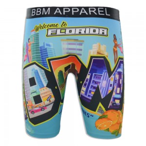 OEM New Type Men Underwear Fashion Wholesale Vendor Plus Size Florida Printing Men Boxers Briefs Underpants