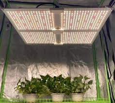 Tips for Using Plant Lights: Maximizing Efficiency and Growth