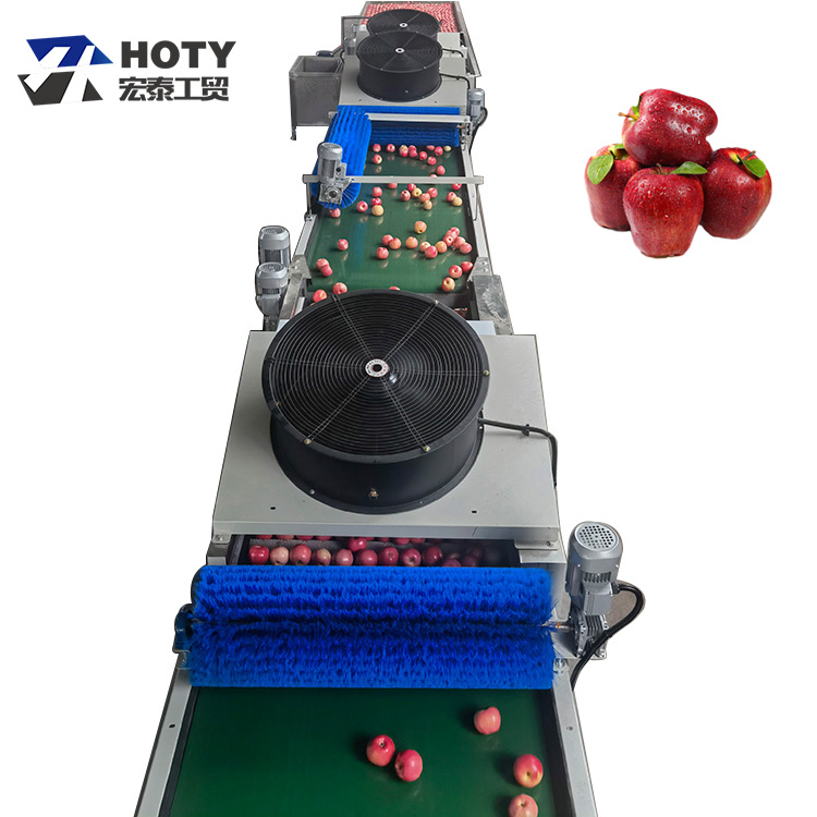 Fruit Sorting And Washing  Waxing machine Featured Image