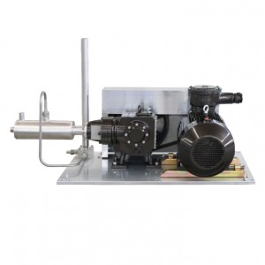 Cryogenic reciprocating pump of LCNG pump skid