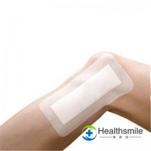 China Factory for Gauze Pads For Cleaning Wounds - Functional skin repair dressing – Healthsmile