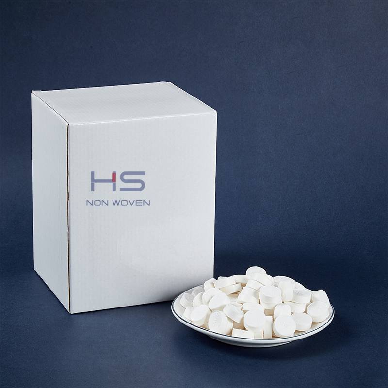 Manufacturer of Compressed Tissue With Carrying Case -  500 Count Disposable Portable Mini Coin Tissue Tablets  – HUASHENG