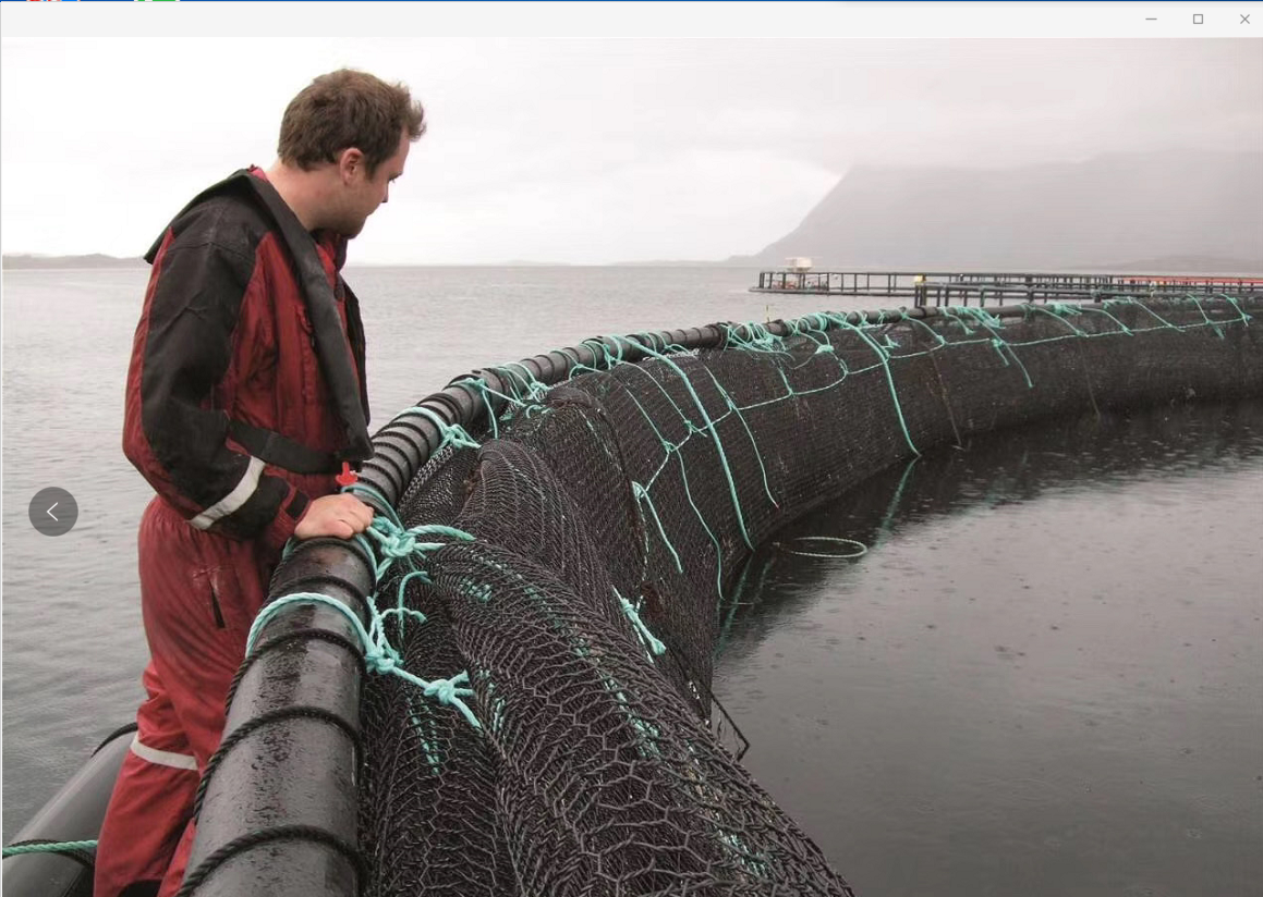 China EverNet Polyester(PET) hexagonal mesh fish farming net pen