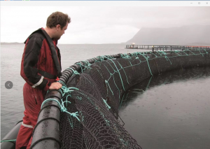 EverNet Polyester (PET) hexagonal mesh fiskfarmende netpen