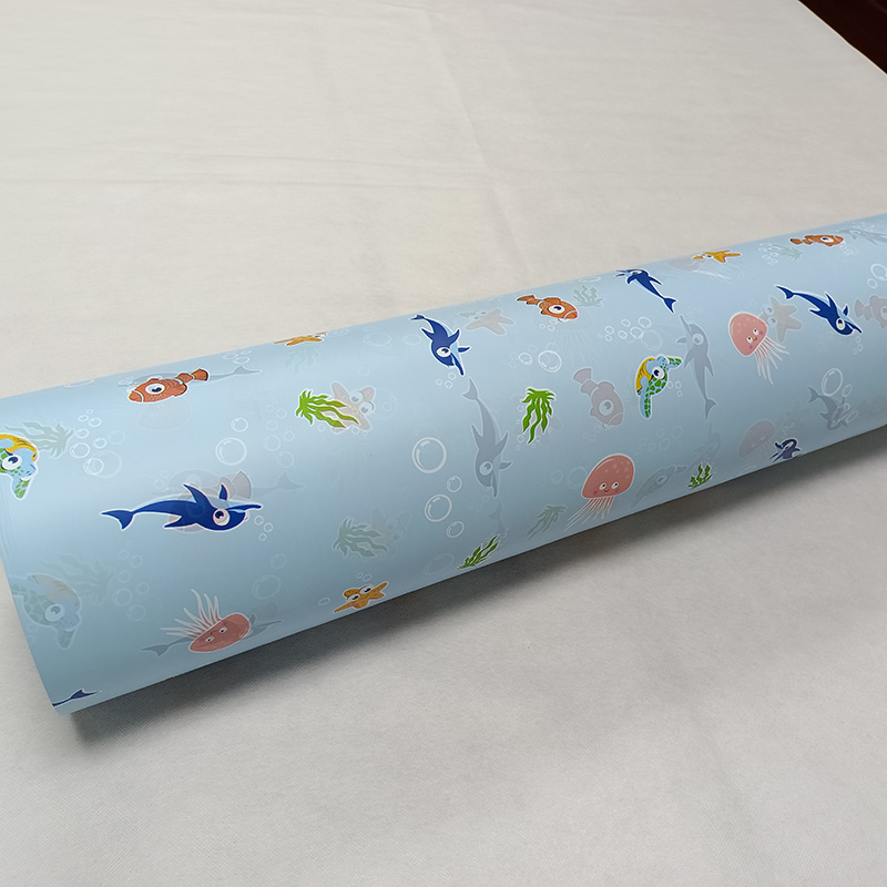 Cast PE Film with Printing  Backsheet or Single Wrapping for Sanitary Napkin China Disposable Polyethylene Film Featured Image