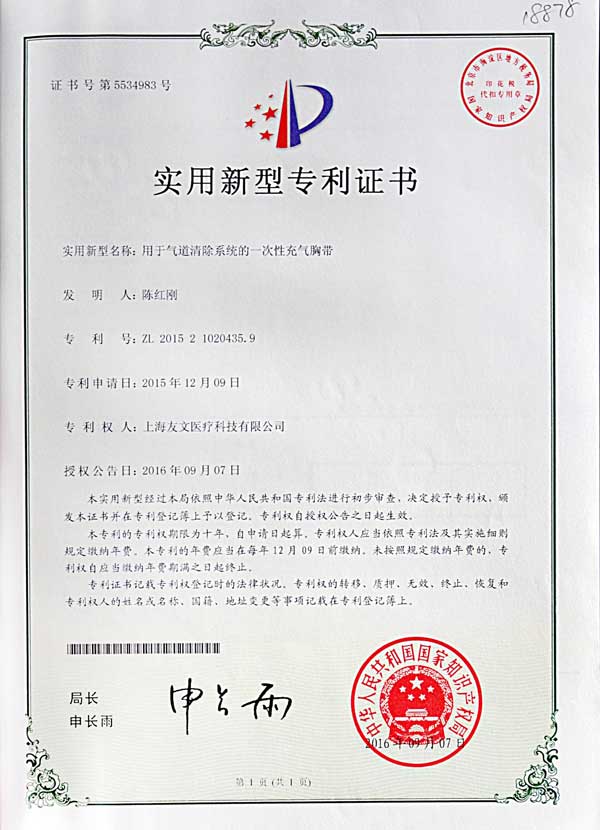 сертификат-17
