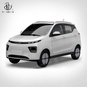 EA Max Speed 100 km/h New Energy Vehicles Adult Electric Car With 5 Doors 4 Seats