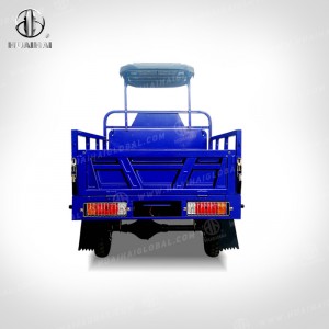I-Gasoline Cargo Tricycle Q8