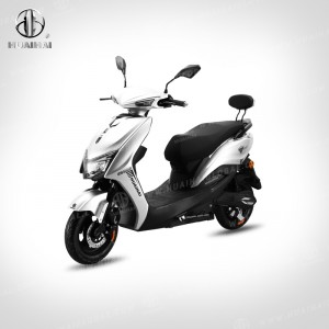 Adult Electric Scooters 1000W “LY”