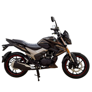 High Quality OEM Motorcycles with 200CC Zongshen Engine