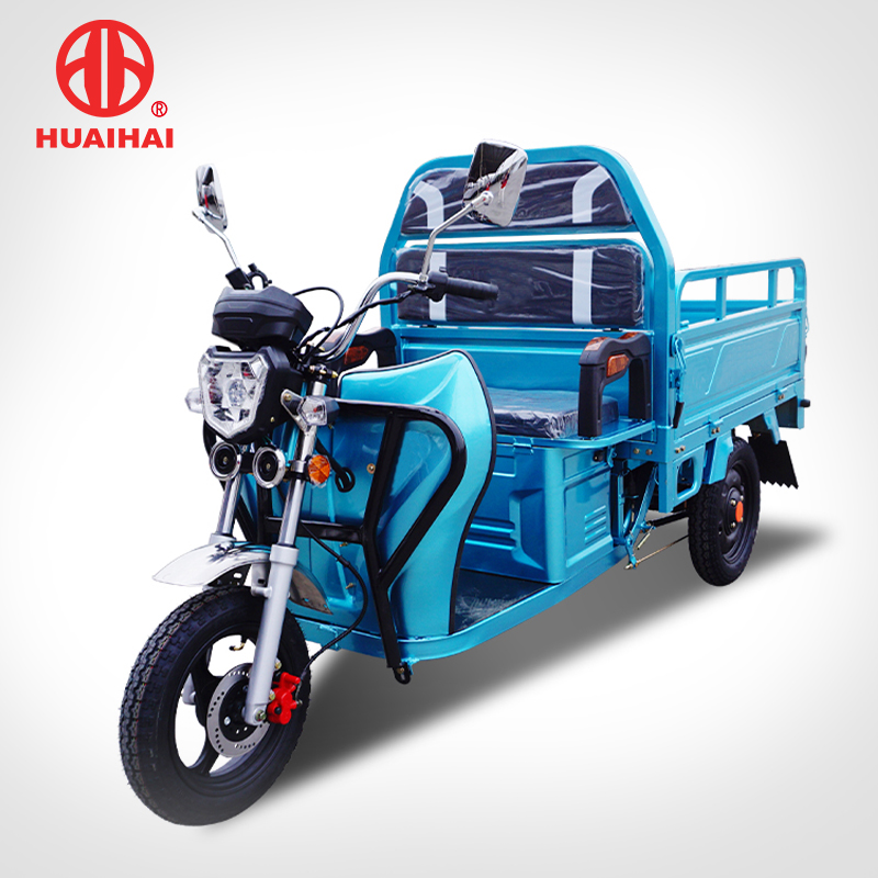 Low MOQ for Tri Cycle Electric - 48V 500W Wholesale 3 Wheeler Cargo Electric Tricycles for Adults  – Zongshen