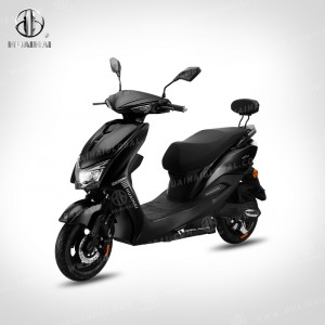 Scooters Elettrici Adulti 1000W "LY"