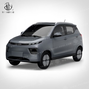 EA Max Speed 100 km/h New Energy Vehicles Adult Electric Car With 5 Doors 4 Seats