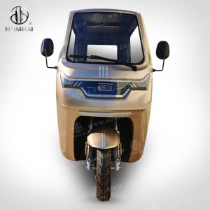 Electric Ero Tricycles YJ