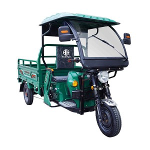 H21 Electric Cargo Tricycle With Shed