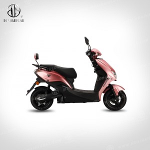 Voksen elektriske scootere 1000W "LY"