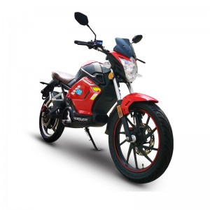 Leading Manufacturer for Best Throttle Electric Bike - Electric Scooters Future – Zongshen