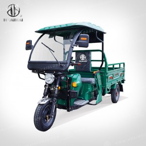 Electric Cargo Carrier H21