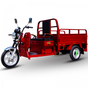Low price for Electric Pedal Trike - Electric Cargo Carrier JG – Zongshen