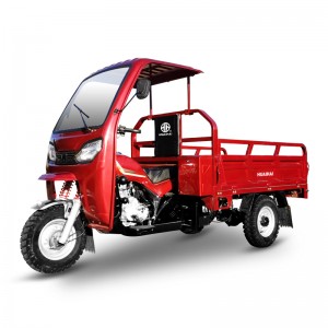 Good quality Tricycle Engine - Gasoline Cargo Carriers Q1 – Zongshen