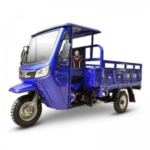 Chinese Professional Motorized Tricycles Tuktuk - Gasoline Cargo Carriers Q7C – Zongshen