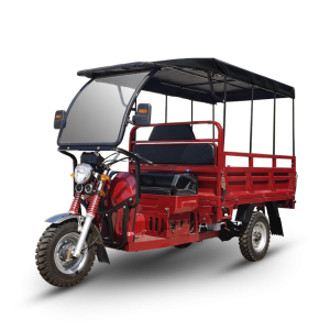 New Fashion Design for E Trike Motor - Gasoline Cargo Carriers TL7 – Zongshen