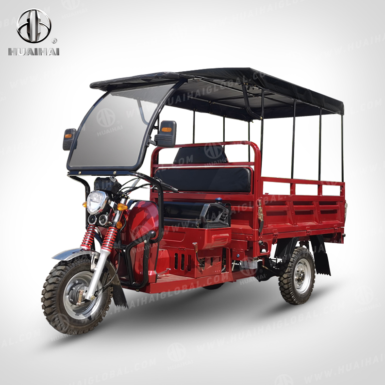Chinese Professional Three Wheel Trike - Gasoline Cargo Carriers TL7 – Zongshen