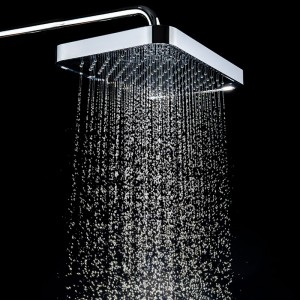 1F691 Single Function The Plastic Top-Mounted Shower head for bathroom