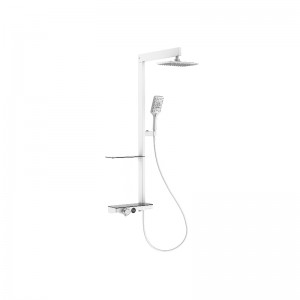 HL-2493 New Style Al Shower Panel With Rain Sho...