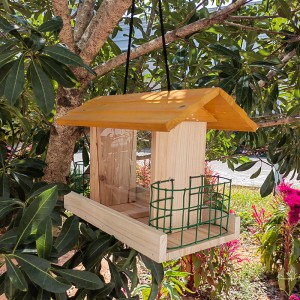 New Arrival China Bird House On A Stand - Multifunctional Wooden Bird Feeder with Plexiglass – HUALI