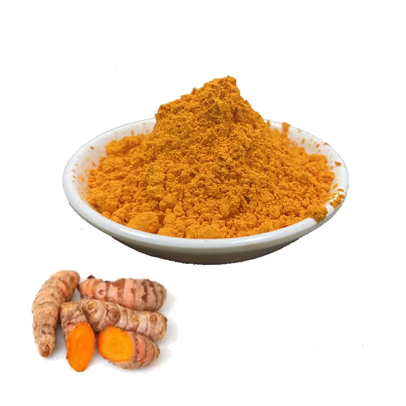 Curcumin – Organic Turmeric Root Extract Powder