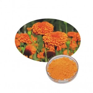 Marigold Flower Extract lutein Zeaxanthin