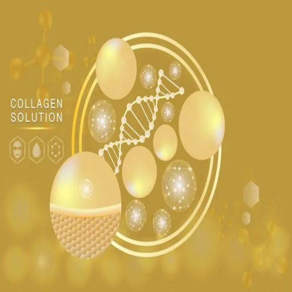 What Can Fish Collagen Do For You?